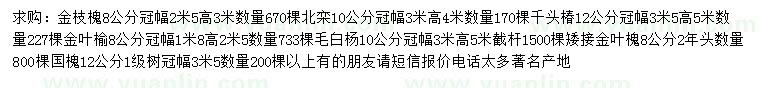 求购金枝槐、北栾、千头椿等