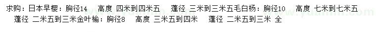 求购日本早樱、毛白杨、金叶榆