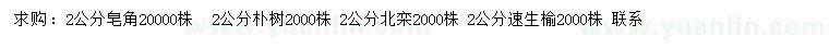 求购皂角、朴树、北栾等