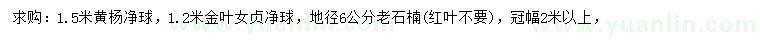 求购黄杨球、女贞球、老石楠