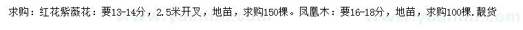 求购13-14公分红花紫薇、16-18公分凤凰木