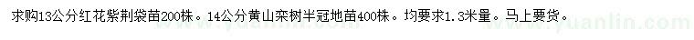 求购1.3米量13公分红花紫荆、14公分黄山栾树