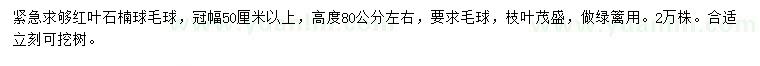 求购冠幅50公分以上红叶石楠毛球