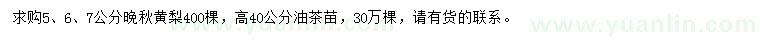 求购5、6、7公分晚秋黄梨、高40公分油茶苗