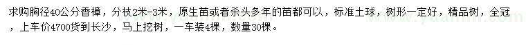 求购胸径40公分香樟