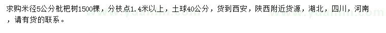 求购米径5公分枇杷树