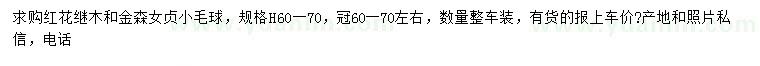 求购高60-70公分红花继木、金森女贞小毛球