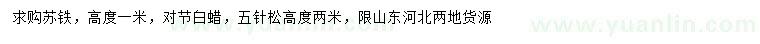 求购苏铁、对节白蜡、五针松