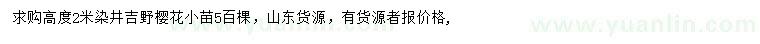 求购高度2米染井吉野樱花小苗