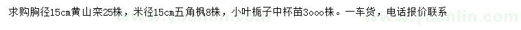 求购黄山栾、五角枫、小叶栀子