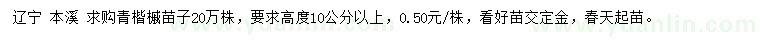 求购高10公分以上青楷槭苗子