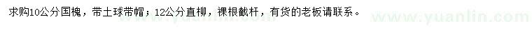 求购10公分国槐、12公分直柳