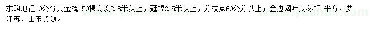 求购地径10公分黄金槐、金边阔叶麦冬