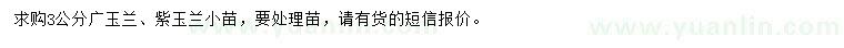 求购3公分广玉兰、紫玉兰小苗