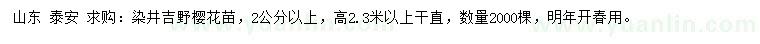 求购2公分以上染井吉野樱花苗