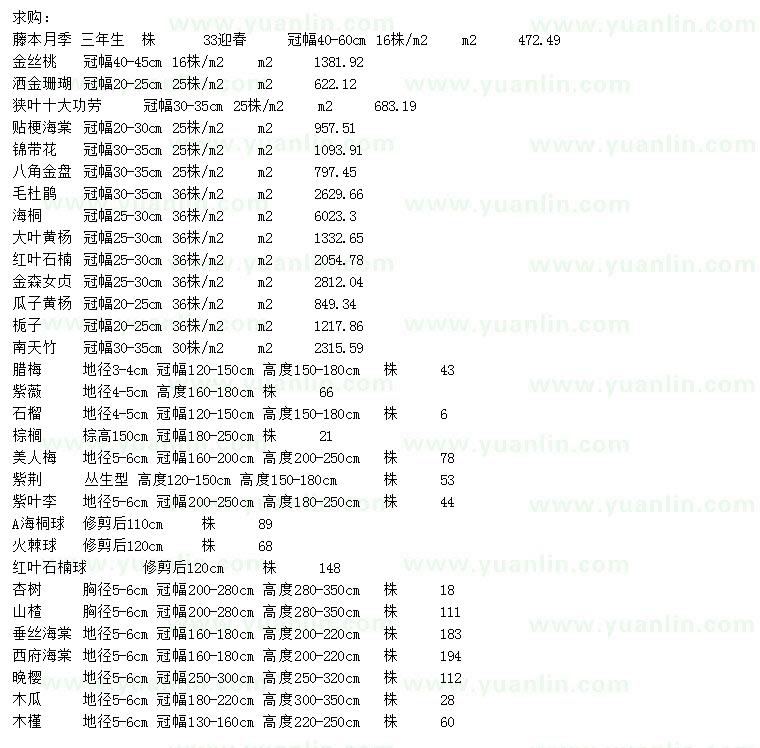 求购藤本月季、金丝桃、洒金珊瑚等