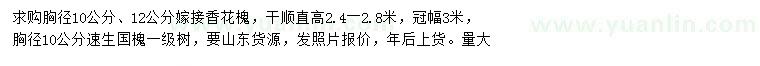 求购胸径10、12公分嫁接香花槐、胸径10公分速生国槐