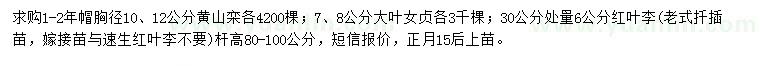 求购黄山栾、大叶女贞、红叶李