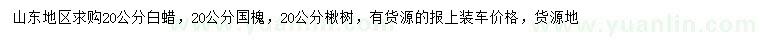 求购白蜡、国槐、楸树