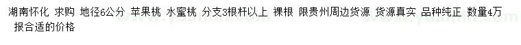 求购地径6公分苹果桃、水蜜桃