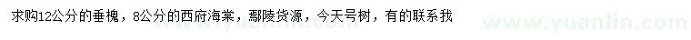 求购12公分垂槐、8公分西府海棠