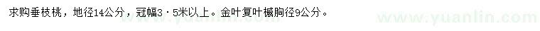 求购地径14公分垂枝桃、胸径9公分金叶复叶槭