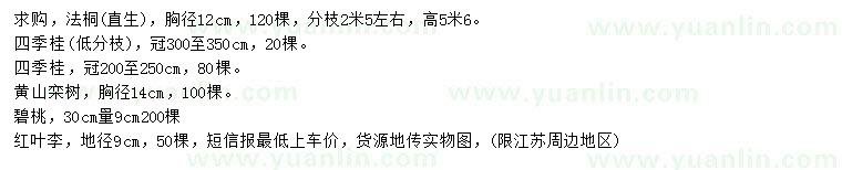 求购法桐、四季桂、黄山栾树等