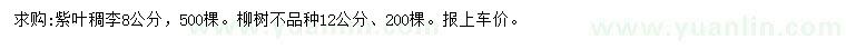 求购8公分紫叶稠李、12公分柳树