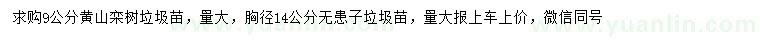 求购9公分黄山栾树、胸径14公分无患子