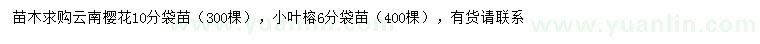 求购10公分云南樱花、6公分小叶榕