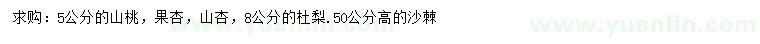 求购山桃、果杏、山杏等