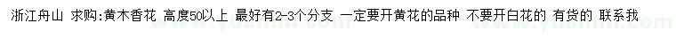 求购高度50公分以上黄木香花