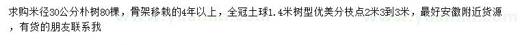 求购米径30公分朴树