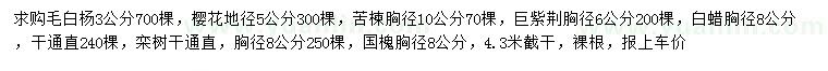 求购毛白杨、樱花、苦楝等