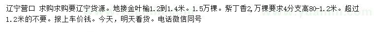 求购1.2-1.4米地接金叶榆、80-120公分紫丁香