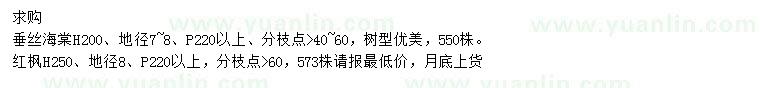 求购高200公分垂丝海棠、高250公分红枫