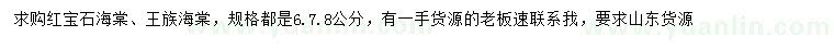 求购6、7、8公分红宝石海棠、王族海棠