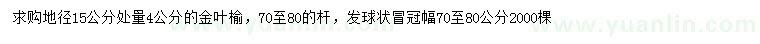 求购地径15公分处量4公分金叶榆