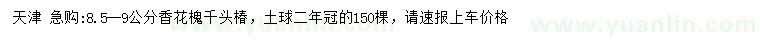 求购8.5-9公分香花槐、千头椿