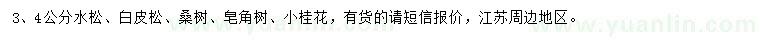 求购水松、白皮松、桑树等