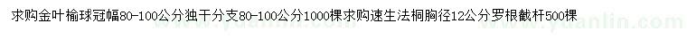 求购冠幅80-100公分金叶榆、胸径12公分速生法桐