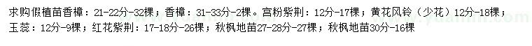 求购香樟、宫粉紫荆、黄花风铃等