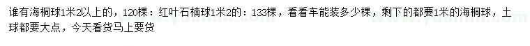 求购1、1.2米以上海桐球、红叶石楠球