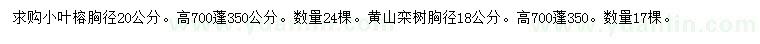 求购胸径20公分小叶榕、胸径18公分黄山栾树