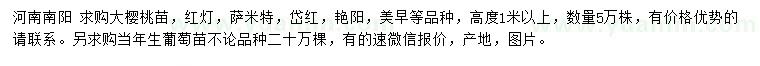 求购高度1米以上大樱桃苗、当年生葡萄