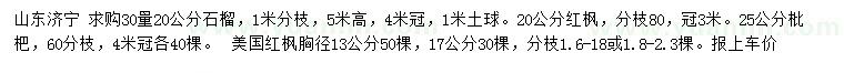 求购石榴、红枫、枇杷等