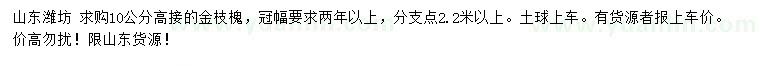 求购10公分高接金枝槐