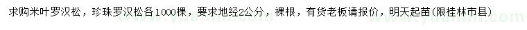 求购地径2公分米叶罗汉松、珍珠罗汉松