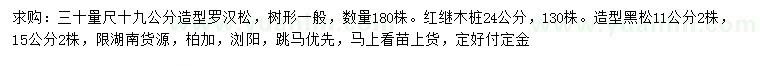 求购造型罗汉松、红继木桩、造型黑松