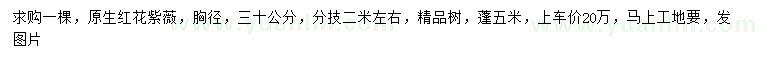 求购胸径30公分红花紫薇